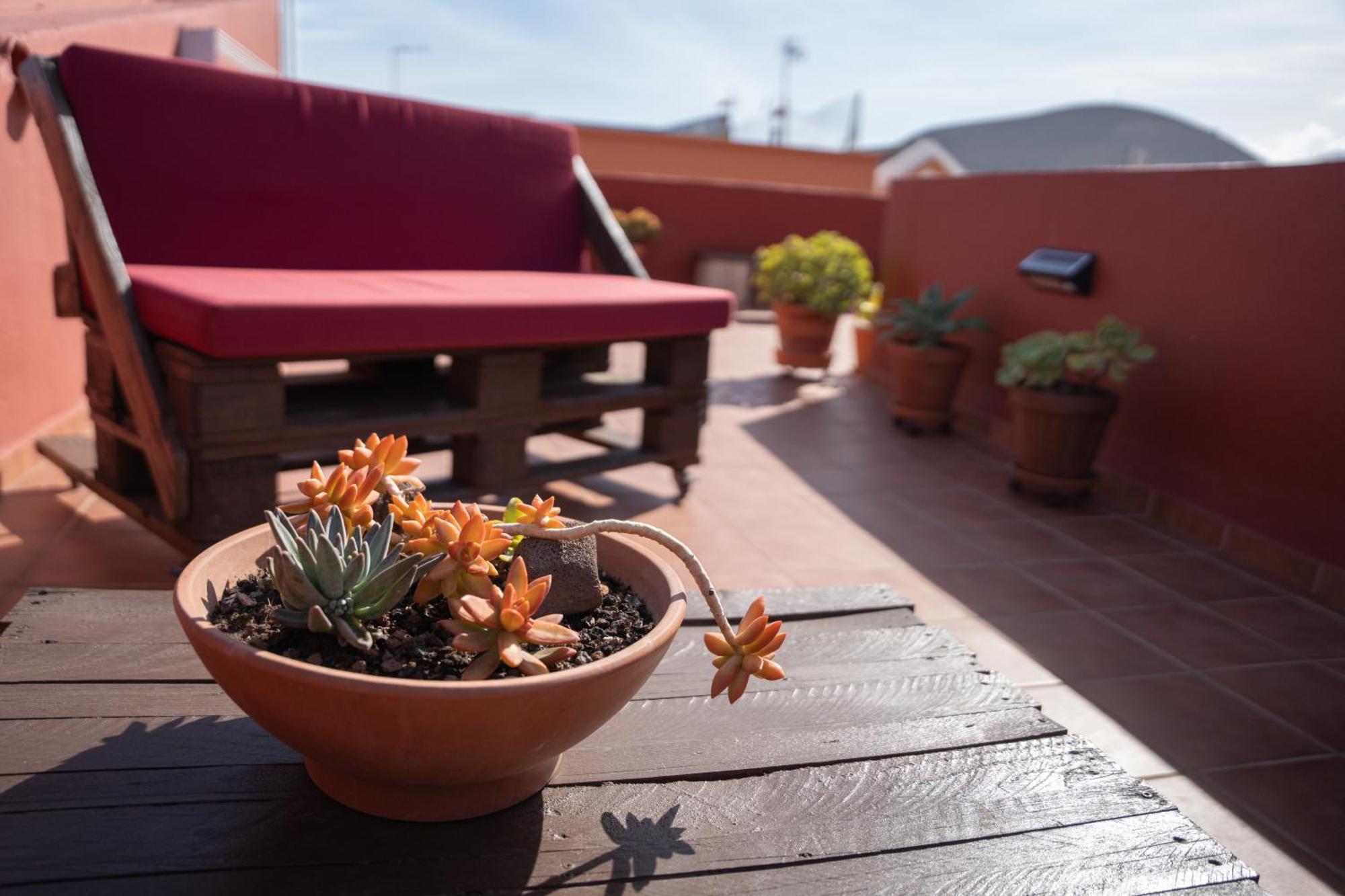 Tenohomes Rustic House With Terrace & Nature Views 布埃纳维斯塔城北 外观 照片